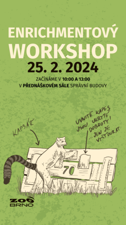 Enrichmentový workshop aneb Obohaťte (si) neděli!